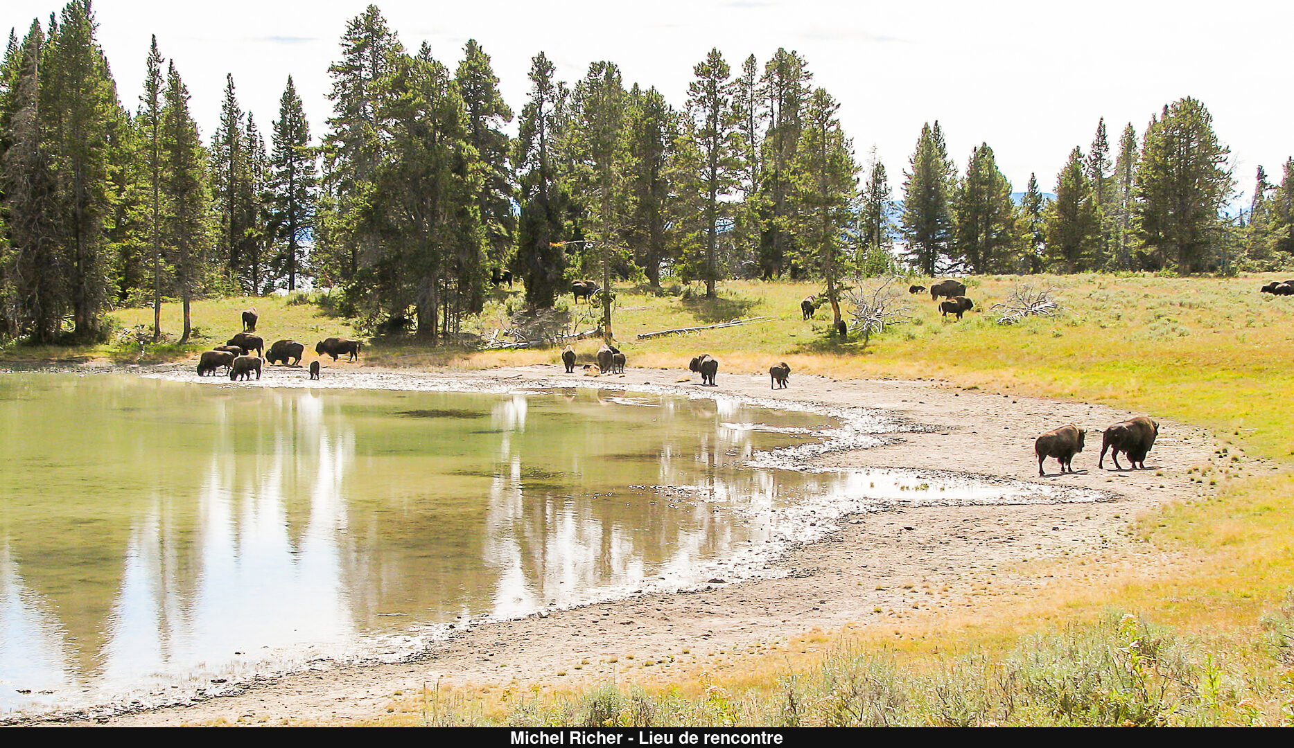 (C) Auteur de la photographie - Respectez le droit d'auteur