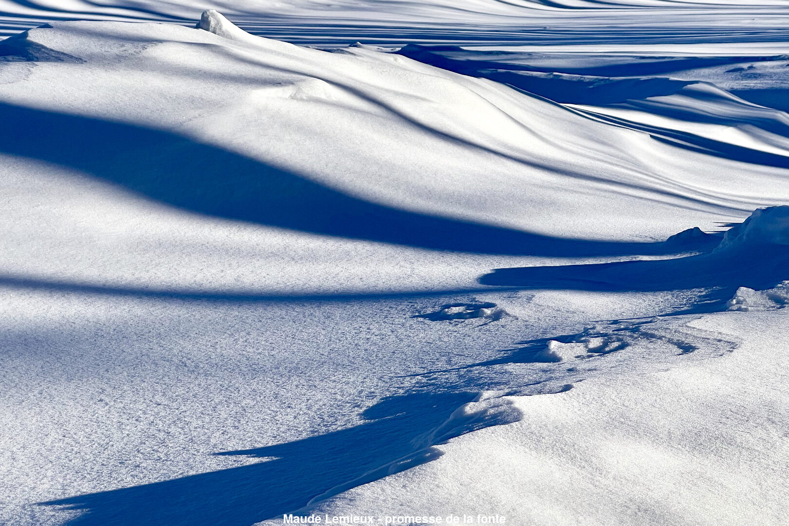 (C) Auteur de la photographie - Respectez le droit d'auteur
