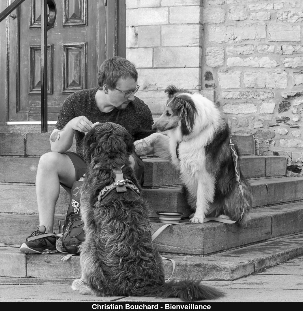 (C) Auteur de la photographie - Respectez le droit d'auteur