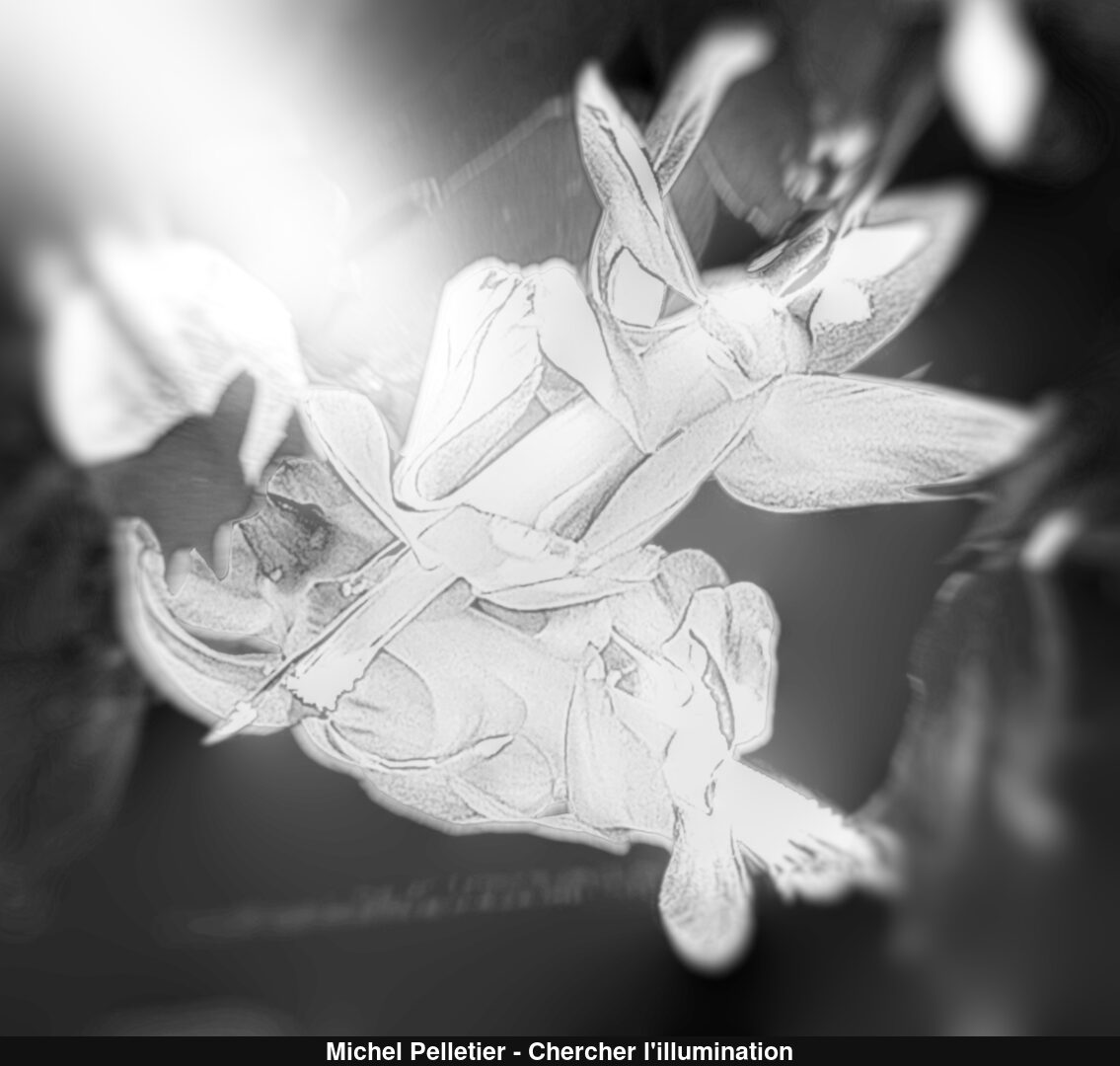 (C) Auteur de la photographie - Respectez le droit d'auteur