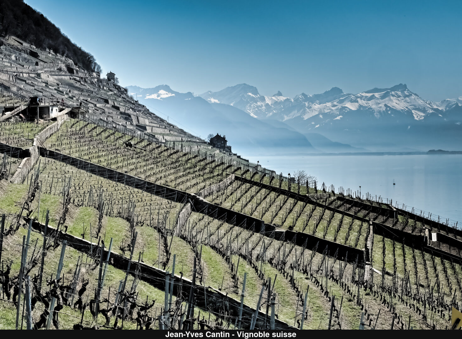 (C) Auteur de la photographie - Respectez le droit d'auteur