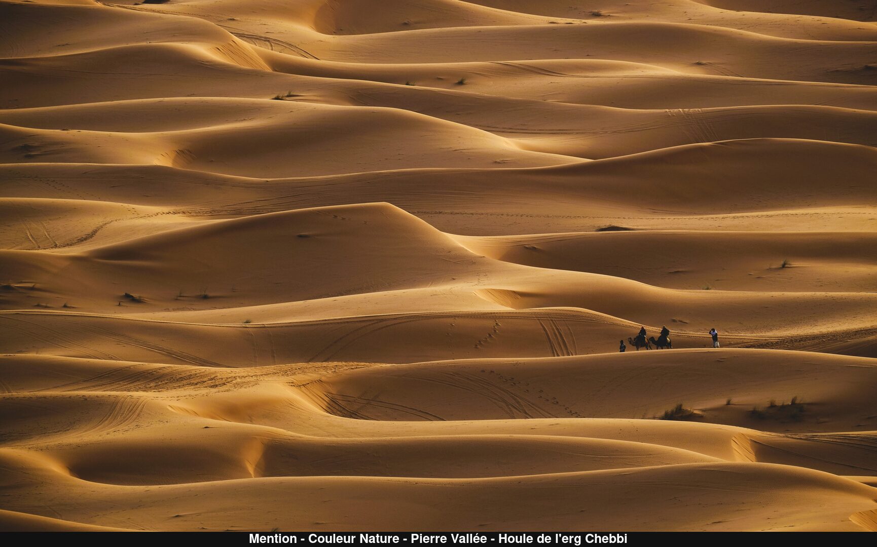 (C) Auteur de la photographie - Respectez le droit d'auteur
