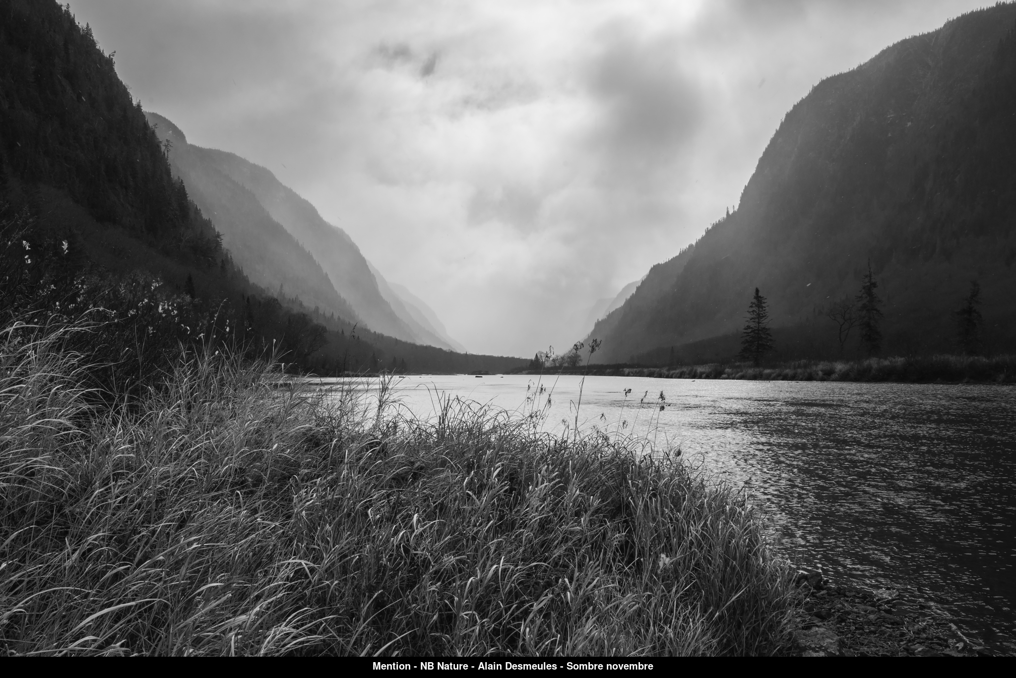 (C) Auteur de la photographie - Respectez le droit d'auteur